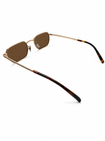 Brown Tints (Sunglasses)