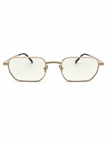 Brown Tints (Sunglasses)